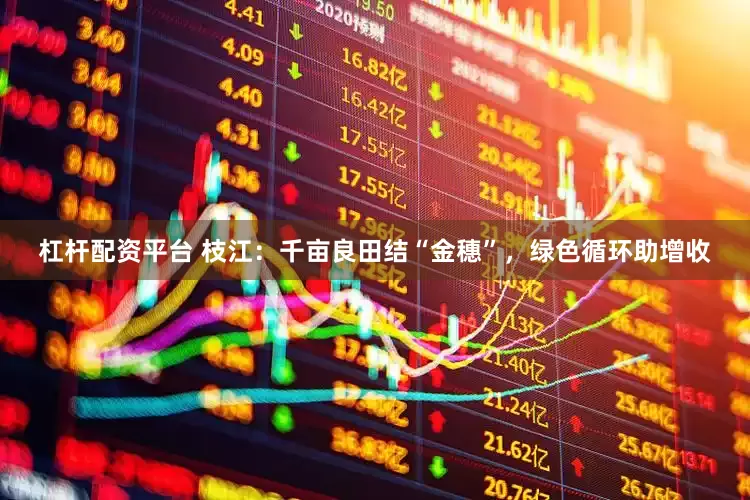 杠杆配资平台 枝江：千亩良田结“金穗”，绿色循环助增收