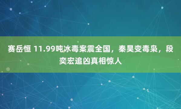 赛岳恒 11.99吨冰毒案震全国，秦昊变毒枭，段奕宏追凶真相惊人