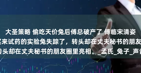 大圣策略 偷吃天价兔后傅总破产了 傅临宋清姿孟晚晴 我斥资五百万买来试药的实验兔失踪了，转头却在丈夫秘书的朋友圈里亮相。_孟氏_兔子_声音
