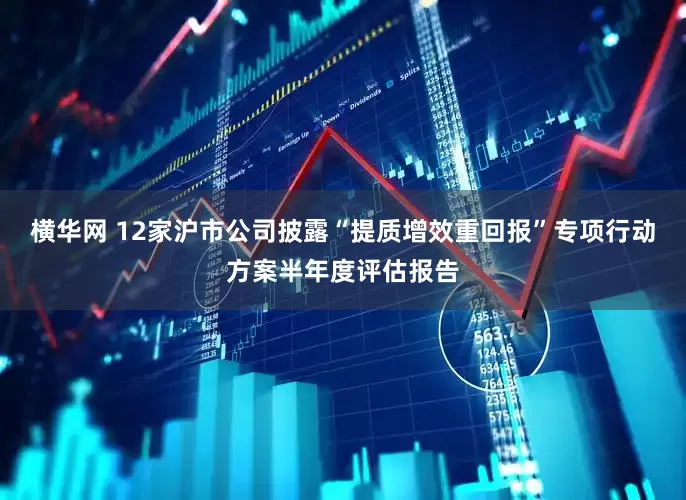 横华网 12家沪市公司披露“提质增效重回报”专项行动方案半年度评估报告