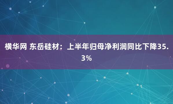 横华网 东岳硅材：上半年归母净利润同比下降35.3%