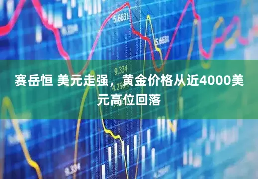 赛岳恒 美元走强，黄金价格从近4000美元高位回落